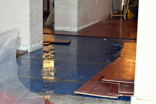 Professional Burst Pipe Cleanup technician working in Canterbury, NH